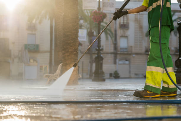 Best Sidewalk and Walkway Cleaning  in Waverly, MI