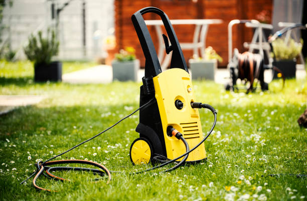 Best Pre-Holiday Cleaning  in Waverly, MI